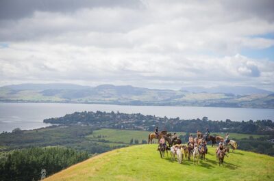Guided Horse Trekking from Rotorua