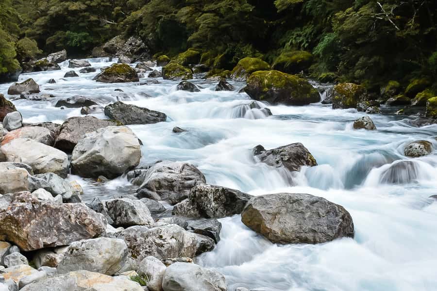 Guided Private Milford Sound Day Tour from Te Anau(Cruise In - Milford Sound Boat Cruise: Included, Guided, and Less Hassle