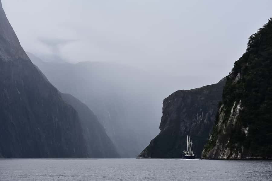 Guided Private Milford Sound Day Tour from Te Anau(Cruise In - Local Kiwi Hospitality, with Guides Like John and Nigel