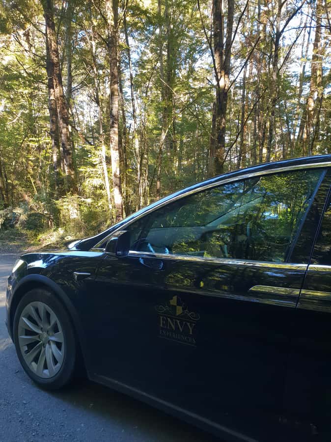 Guided Private Milford Sound Day Tour from Te Anau(Cruise In - Price: Is $209 Per Person Actually Good Value?