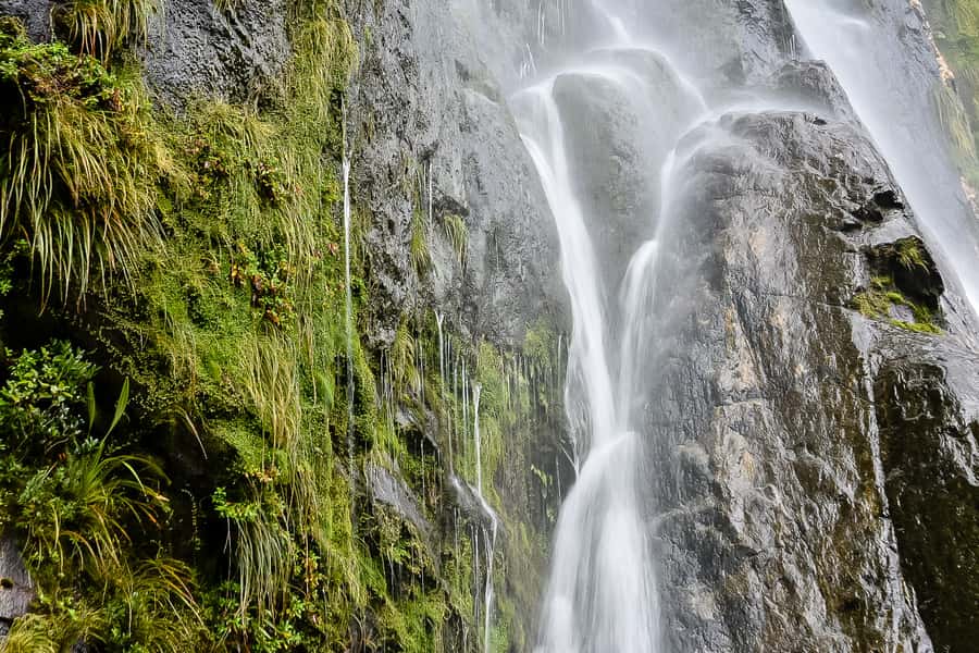 Guided Private Milford Sound Day Tour from Te Anau(Cruise In - Who This Tour Fits Best (and Who Might Skip It)
