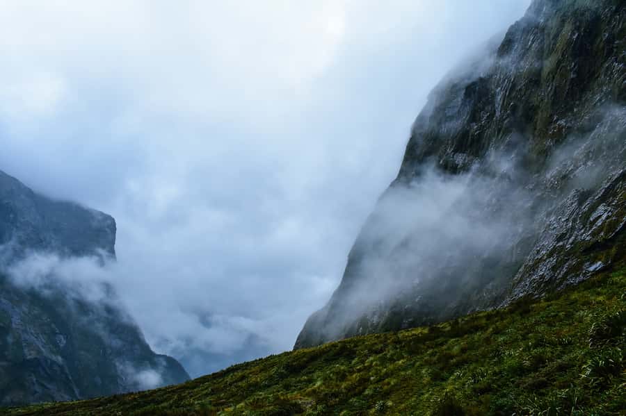 Guided Private Milford Sound Day Tour from Te Anau(Cruise In - The Road Stops Are the Real Secret Sauce