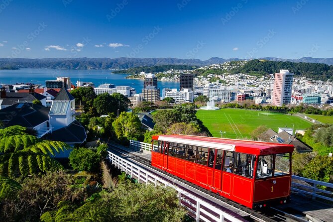 Guided Small Group Walking Tour in Wellington - Cuba Street and the Suburbs Most People Miss