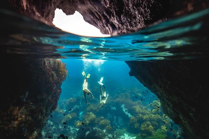 Guided Snorkeling and Island Exploration in Auckland - Key highlights worth booking for