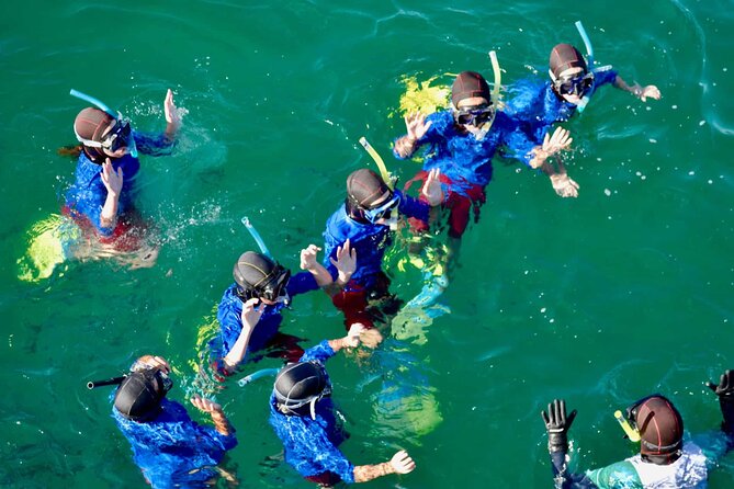 Guided Snorkeling and Island Exploration in Auckland - Island Walk After Snorkel: Native Forest Stops and Bird Sanctuary Views