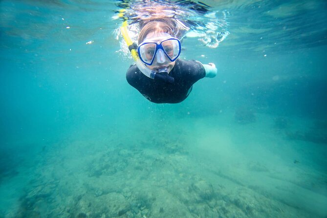Guided Snorkeling and Island Exploration in Auckland - Meet at the Wharf and Start the Island Rhythm