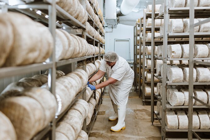 Guided Tour with Cheese & Wine Pairing - A Working Cheese Factory in Oamaru, Plus Wine Pairings