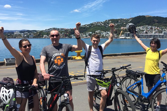 Guided Wellington Tour by Electric Bike - Kupe statue and Te Papa sightline, Wellington’s origin story in 10 minutes