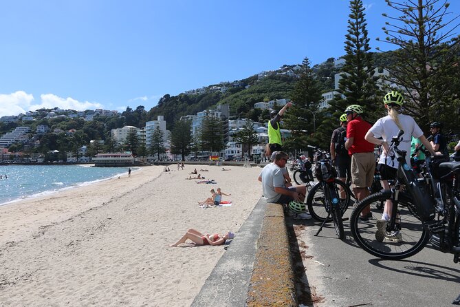 Guided Wellington Tour by Electric Bike - Zephyrometer and Wellington’s science of wind