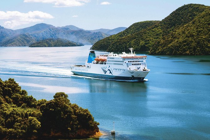 Guided Wellington Tour by Electric Bike - Te Wharewaka o Pōneke, closing the loop with culture