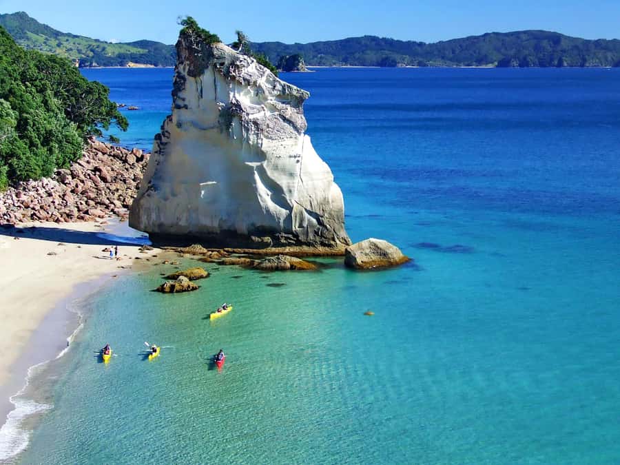 Hahei: Cathedral Cove Kayak Tour - Refreshments included - Why The Te Whanganui-A-Hei Marine Reserve Is The Real Star