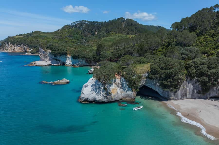 Hahei Explorer Cathedral Cove Boat Tour - Cathedral Cove Marine Reserve: seeing marine life from the waterline