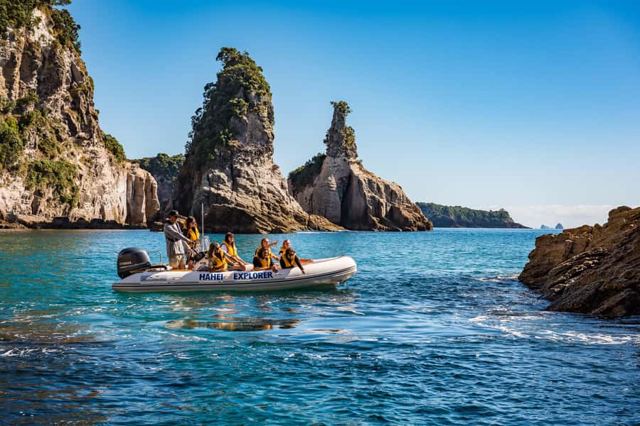 Hahei Explorer Cathedral Cove Boat Tour - Weather and timing: why you should plan for changes