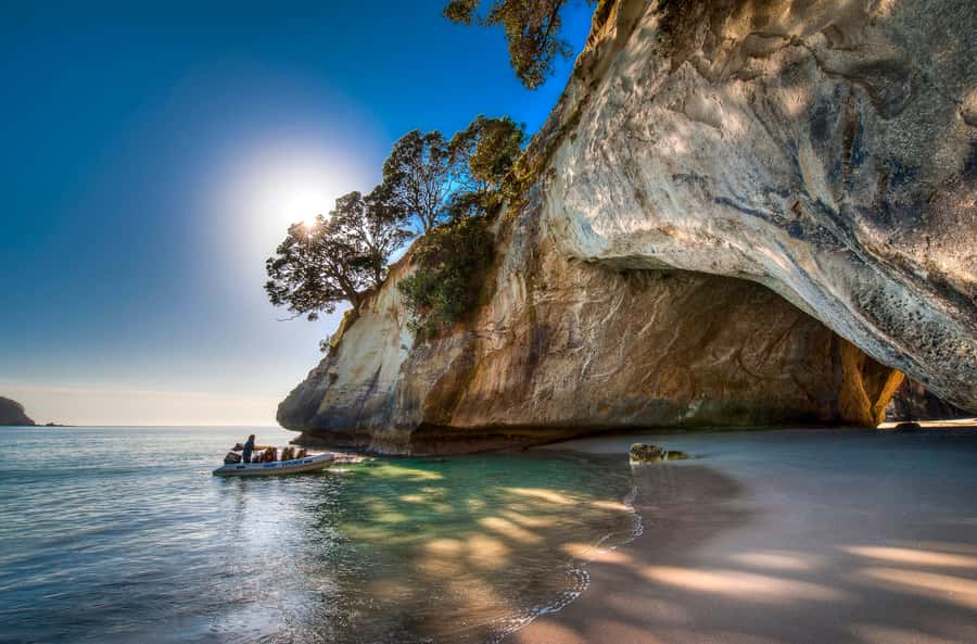 Hahei Explorer Cathedral Cove Boat Tour - Who should book the Hahei Explorer cruise?