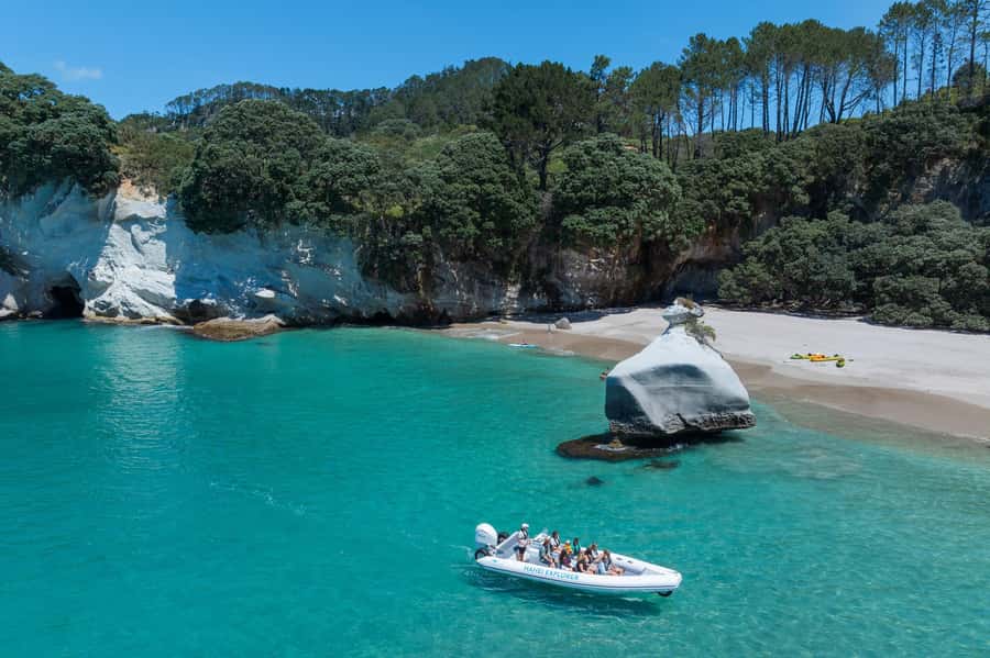 Hahei Explorer Cathedral Cove Boat Tour - Ancient volcanic coastline: 14 km of real scenery, not staged views