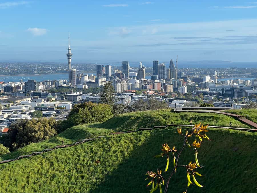Half-Day Auckland City Highlights Tour with Hotel Pickup - Key highlights to look for