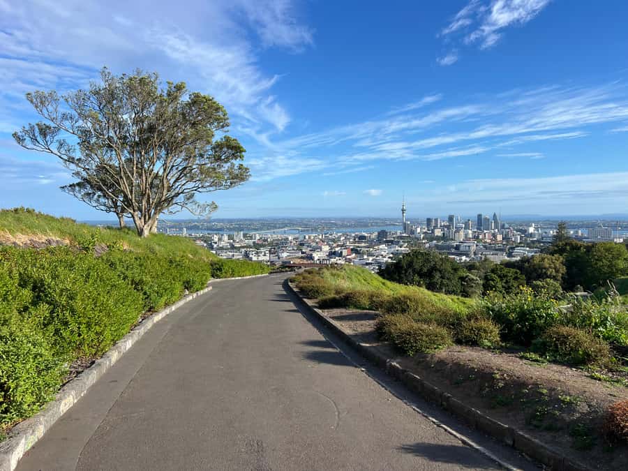 Half-Day Auckland City Highlights Tour with Hotel Pickup - How a 3-Hour Auckland Highlights Tour Fits a Short Stay
