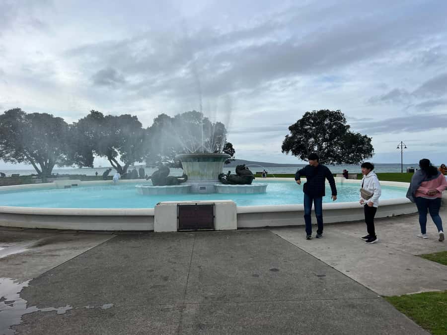 Half-Day Auckland City Highlights Tour with Hotel Pickup - Achilles Point and Mount Eden: The Two Viewpoints You Should Prioritize