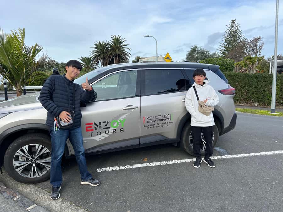 Half-Day Auckland City Highlights Tour with Hotel Pickup - Who This Tour Suits Best (and Who Might Want Another Plan)