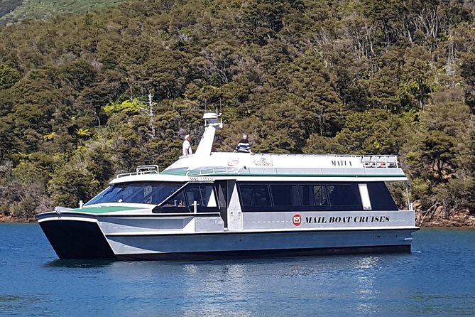Half-Day Cruise in Marlborough Sounds from Picton - Key things that make this cruise worth your time