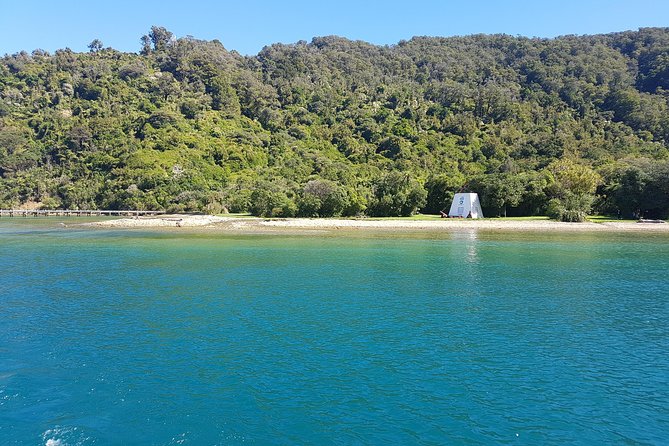 Half-Day Cruise in Marlborough Sounds from Picton - Who this tour suits best