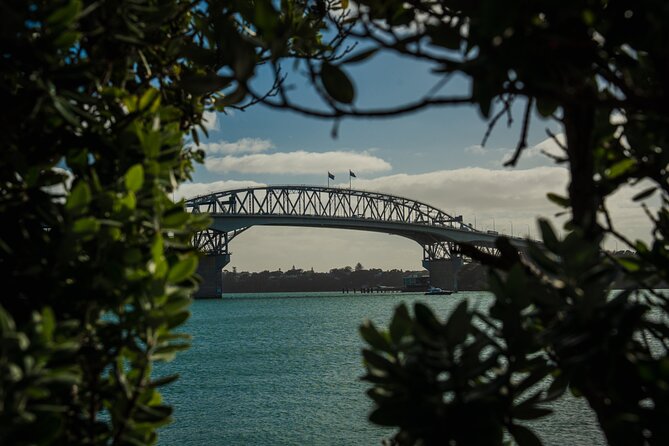 Half-day Discover Auckland City Sightseeing Tour - Key highlights to look forward to