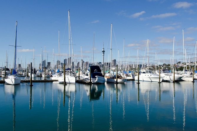 Half-day Discover Auckland City Sightseeing Tour - Through Auckland Domain to Parnell Rose Gardens