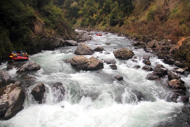 Half Day, Grade 5, White Water Rafting on the Rangitikei River - What you’ll see from the water, and why it feels different