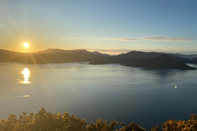 Half-Day Guided Sea Kayak Trip from Picton - Picton is a smart launch point for Queen Charlotte Sound