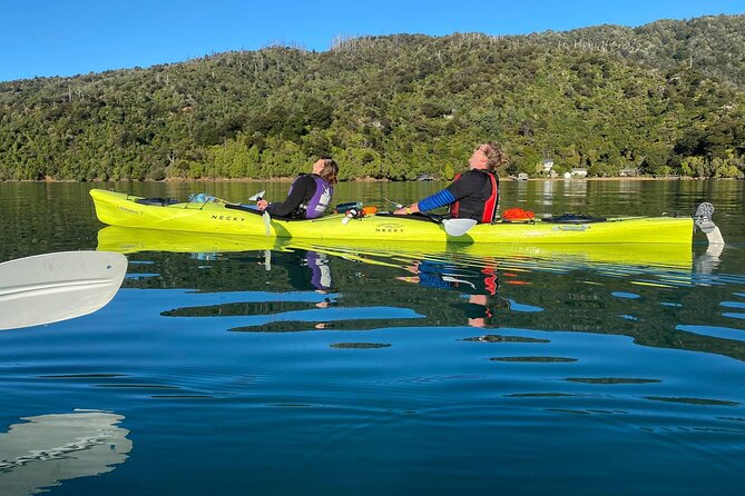Half-Day Guided Sea Kayak Trip from Picton - What I’d watch for on the water: wildlife spotting that feels real