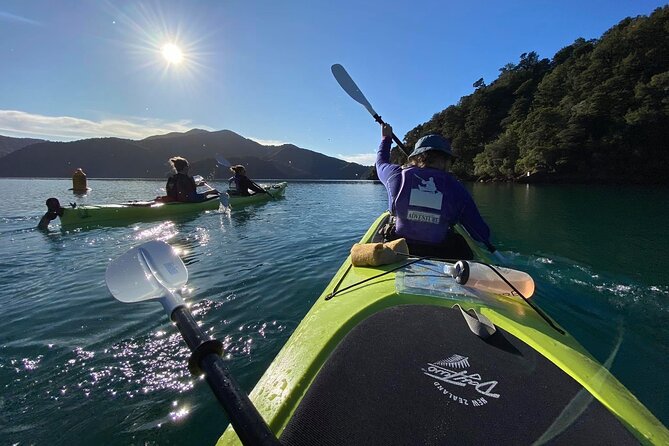 Half-Day Guided Sea Kayak Trip from Picton - The value question: is $74.47 a fair deal?
