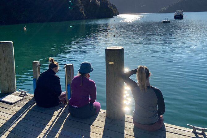 Half-Day Guided Sea Kayak Trip from Picton - Meeting at the Picton Waterfront (and why check-in matters)