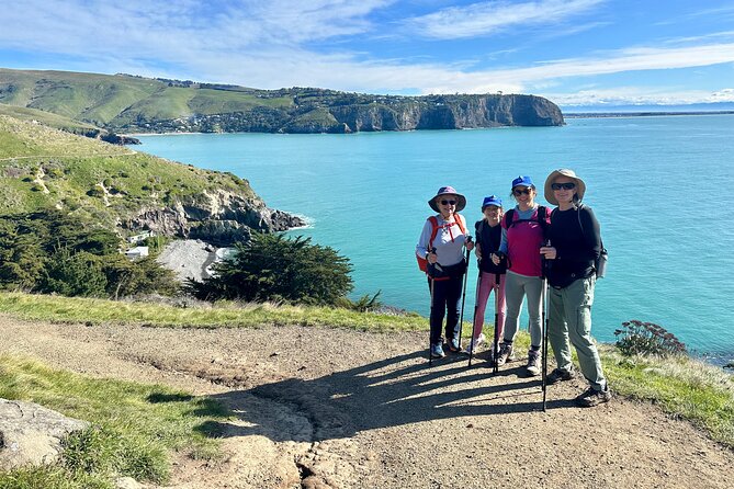 Half Day Guided Walking Tour on Banks Peninsula - Timing and Weather: Morning, Afternoon, and the Reality of Coastal Paths