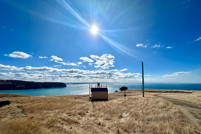 Half Day Luxury Private Guided Crater Rim Walk - Stop at Taylors Mistake to Awaroa: how the coastal scenery turns into a story