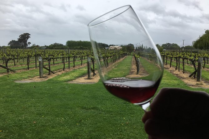 Half-Day Marlborough Wine Tour & Beer Tour - Your Four Winery Stops, Plus What Makes Each One Worth It