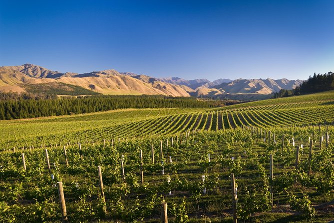 Half-Day Marlborough Wine Tour & Beer Tour - Price and Value: Is $129.70 Worth It?