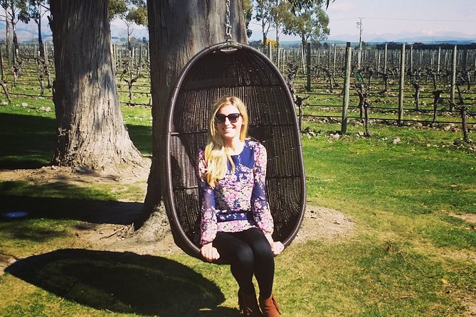 Half-Day Marlborough Wine Tour & Beer Tour - Pickup, Timing, and How the Day Fits Together