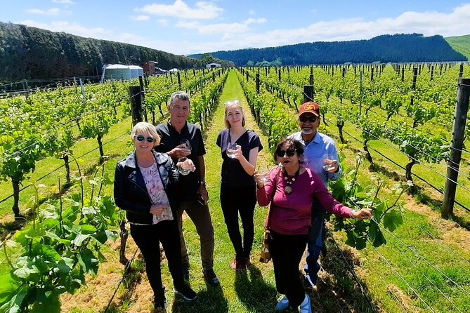 Half Day Martinborough Winery Tour from Wellington - Small group energy: why max 11 feels different
