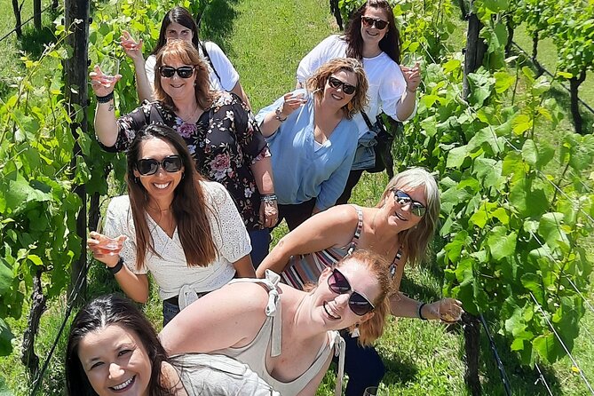 Half Day Martinborough Winery Tour from Wellington - Remutaka Hill and the Hutt Valley stretch: the scenic warm-up