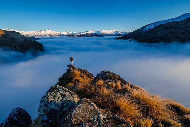 Half-Day Queenstown Photography Tour - Why this half-day Queenstown photo tour is a smart use of time