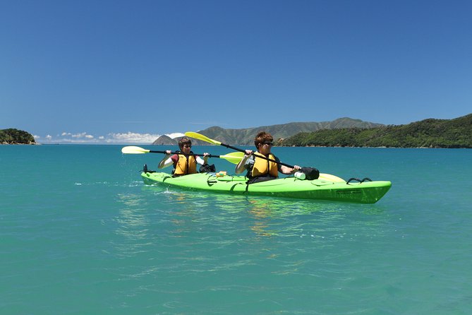 Half day Sea Kayak Guided Tour from Picton - Why Queen Charlotte Sound feels special from the start