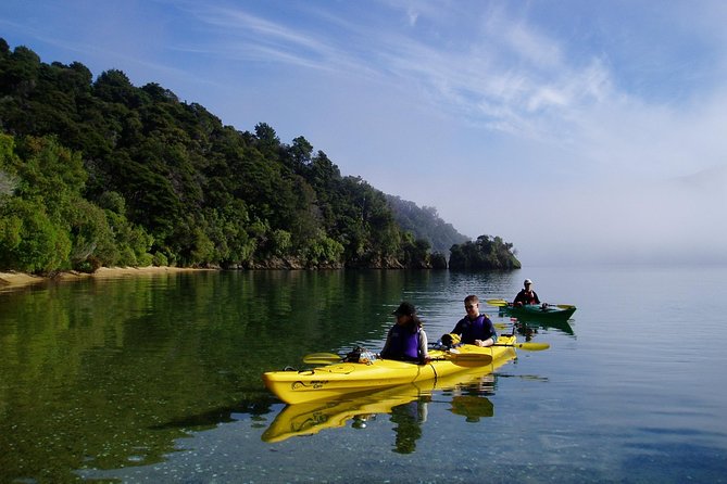 Half day Sea Kayak Guided Tour from Picton - What the guide actually does, beyond pointing out birds