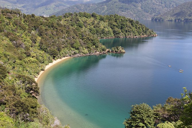 Half day Sea Kayak Guided Tour from Picton - How the $74.47 price works for what you get