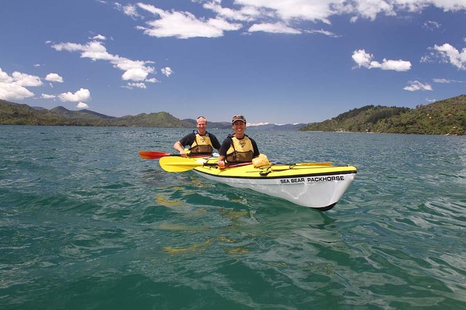 Half day Sea Kayak Guided Tour from Picton - Weather and effort: the one thing you should respect