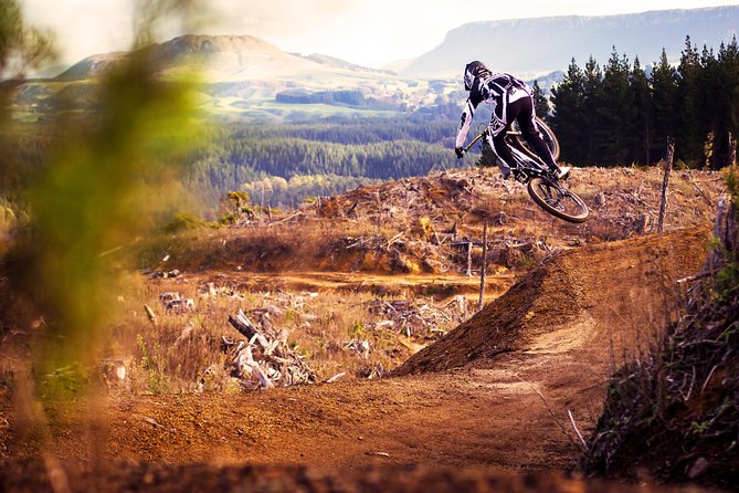Half-Day Self-Guided Mountain Bike Journey through Whakarewarewa Redwood Forest - Key Points You’ll Care About