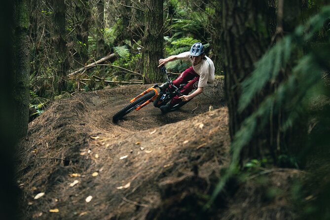 Half-Day Self-Guided Mountain Bike Journey through Whakarewarewa Redwood Forest - Entering The Whakarewarewa Redwoods Trail System