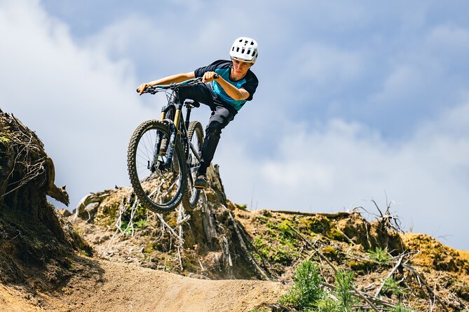 Half-Day Self-Guided Mountain Bike Journey through Whakarewarewa Redwood Forest - Who This Half-Day Ride Best Fits