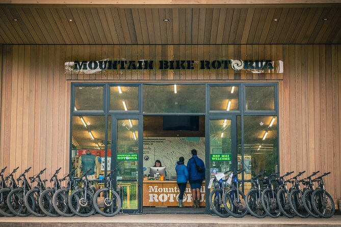 Half-Day Self-Guided Mountain Bike Journey through Whakarewarewa Redwood Forest - The Real-World Take: Should You Book This Ride?