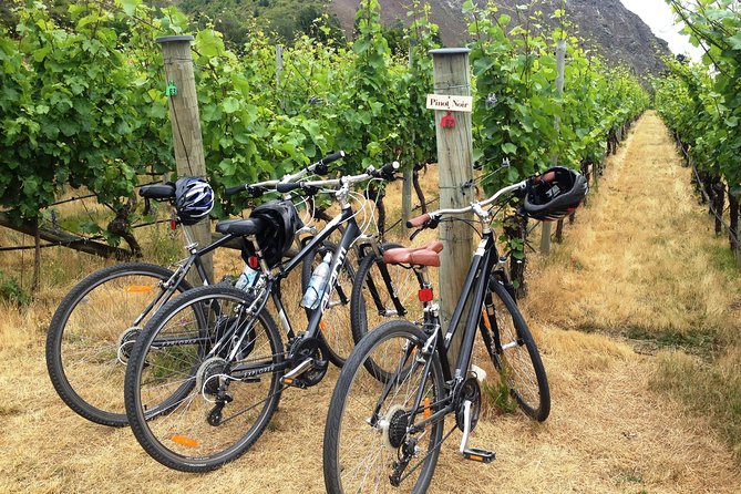 Half-Day Self-Guided Ride and Wine Bike Tour from Arrowtown - Key highlights worth your attention