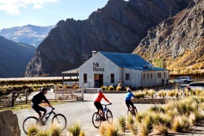 Half-Day Self-Guided Ride and Wine Bike Tour from Arrowtown